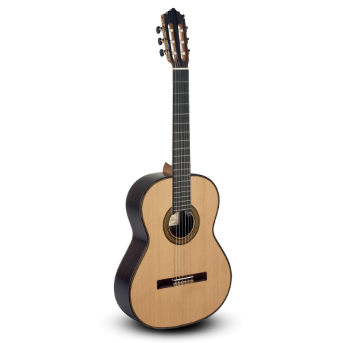 Гитара Model 205 SPRUCE