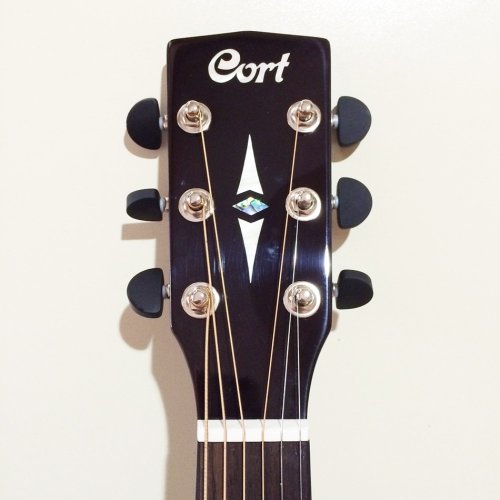Акустична гітара Earth70 BR Фото №3